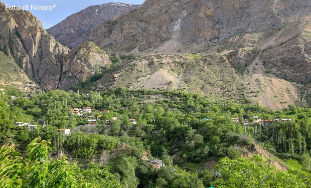 Iran: la gravissima deforestazione